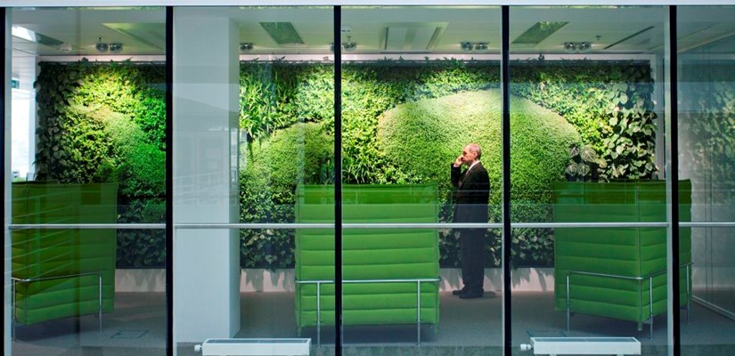 Vertikální zelená stěna