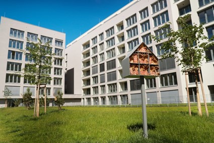 Port Karolína - prvky podporující biodiverzitu