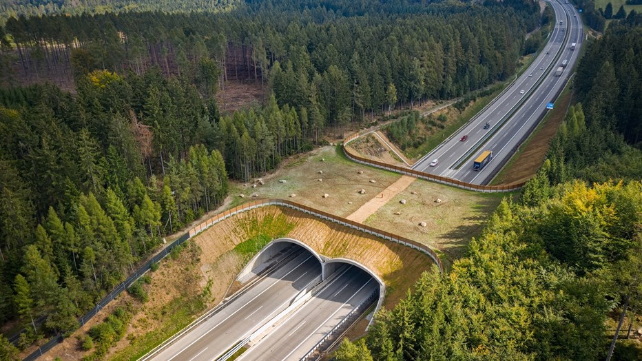 Ecoduct on D1 highway, section 12