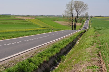 Voivodeship road No. 881, section Lancut - Kanczuga