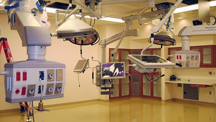 Integrated Cardiovascular and Imaging Platform Project