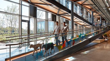 Banfield Pet Hospital, New Corporate Headquarters