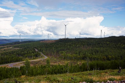 Mullberg Wind Farm