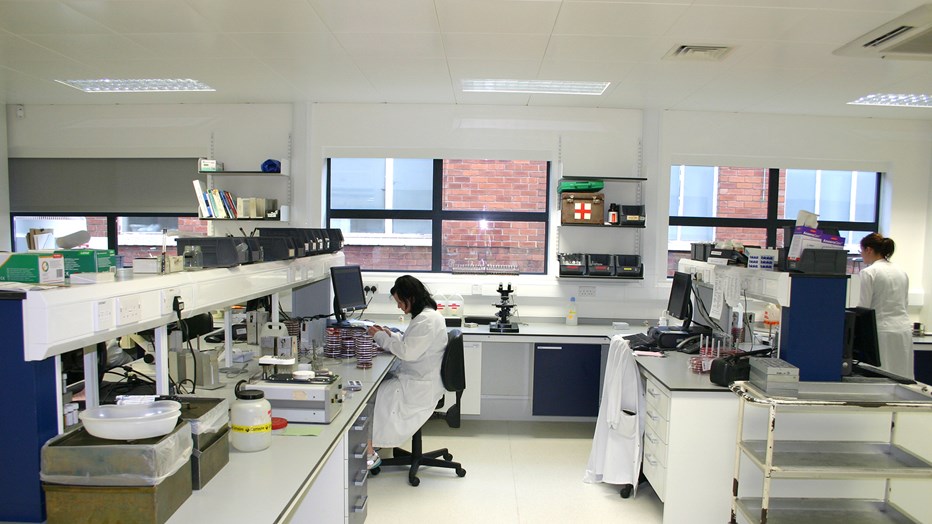 King’s Mill Hospital pathology lab we created for the trusts King’s Mill Hospital pathology lab we created for the trusts