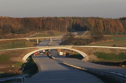 Highway D11