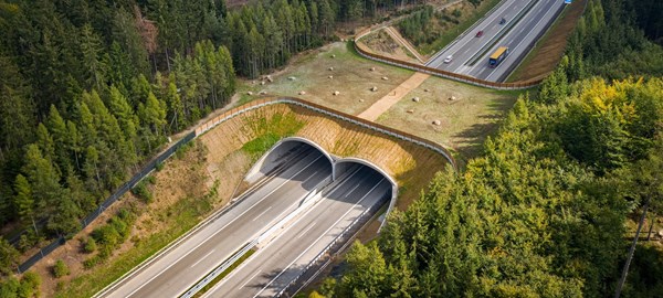 D1 - ekodukt - 28_09_2021 -  foto 05