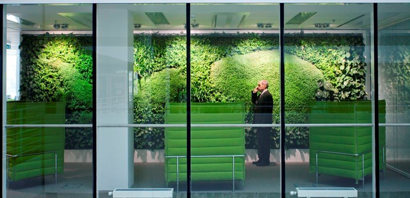 Green wall Green wall
