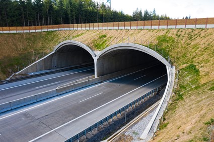 Ecoduct on D1 highway, section 12